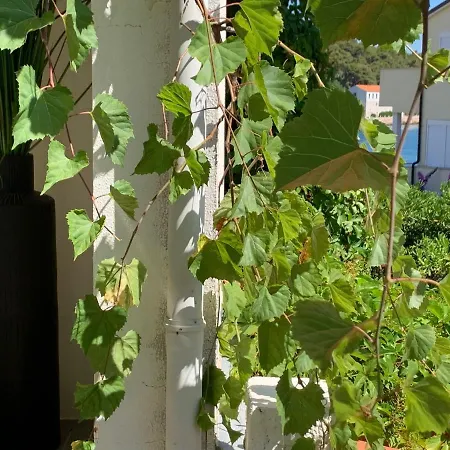 Cozy D&d * Jelsa (Hvar)